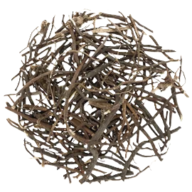 CLEMATIDIS RADIX ET RHIZOMA